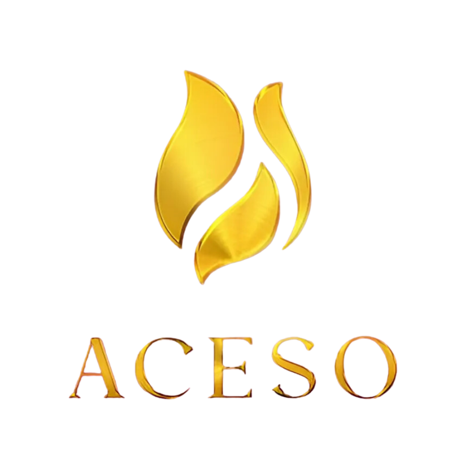 Aceso Group